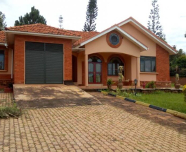 Big HOUSE FOR RENT in KOLOLO