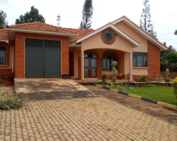 Big HOUSE FOR RENT in KOLOLO